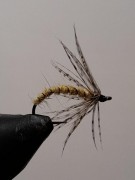 IMG-20210112-WA0000