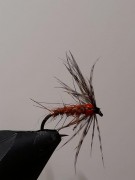 IMG-20210119-WA0009