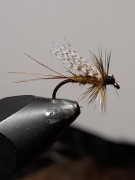 IMG-20210125-WA0000