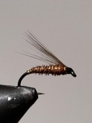 IMG-20210126-WA0003