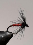 IMG-20210126-WA0005