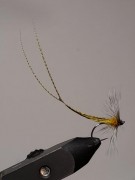 IMG-20210127-WA0000