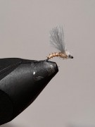 IMG-20210129-WA0001