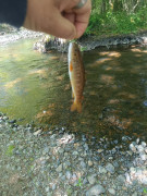 IMG-20250519-WA0003