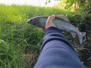 IMG-20250519-WA0004