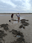 IMG-20250621-WA0002