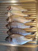 IMG-20250622-WA0000