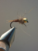 IMG-20260218-WA0000