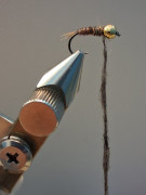 IMG-20260218-WA0002