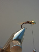 IMG-20260218-WA0003