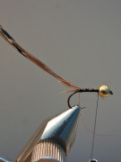 IMG-20260218-WA0005