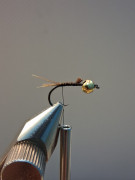 IMG-20260218-WA0007