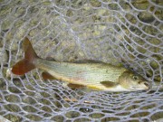 IMG8074