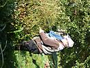 photo_21