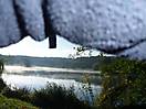 photo_24