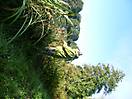 photo_27