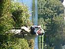 photo_35