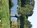 photo_36