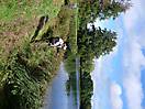 photo_55