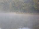 photo_9